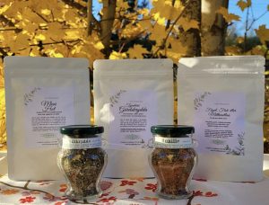 wp 17290233596072020081100909818408