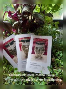 lucka 12 film dvd.original 1