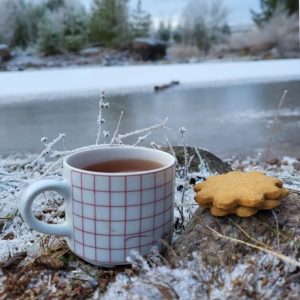 En kopp värmande te med pepparkakor vid sjön